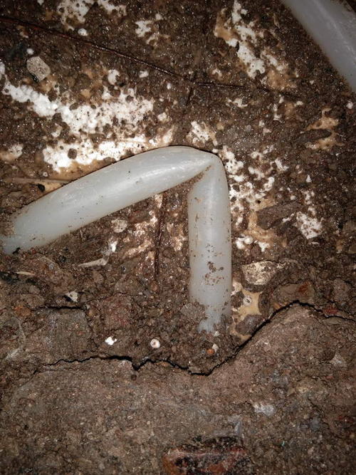 洪山堵点精准查找